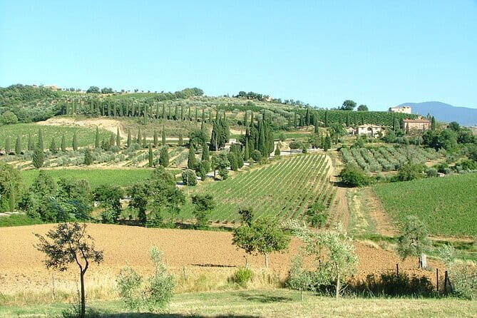 Sightseeing Tuscany by touring bike - 1 day rental - The Value of This Cycling Tour