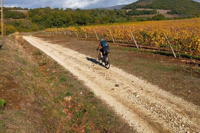 Sightseeing Tuscany by touring bike - 1 day rental - The Sum Up: Is This Tuscany Bike Tour Worth It?