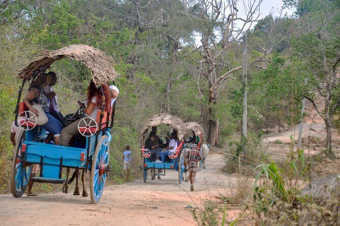 Sigiriya Ancient City and Countryside from Kandy - The Sum Up