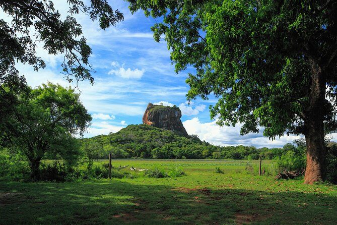 Sigiriya and Dambulla from Dambulla - Authentic Experiences and Insider Tips