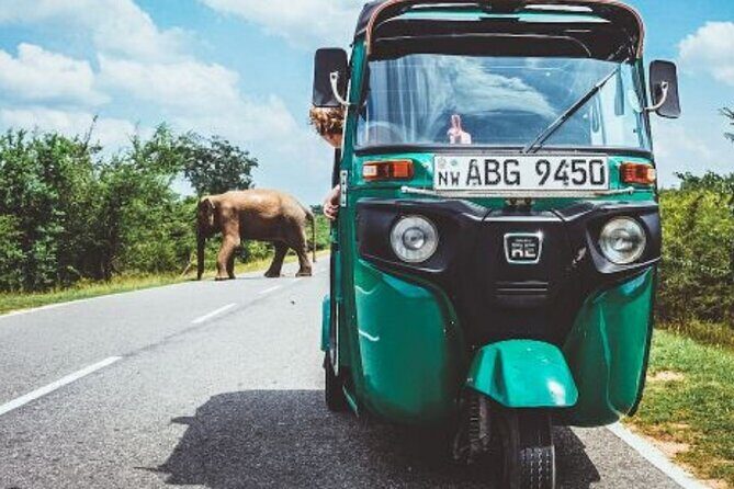 Sigiriya and Dambulla Private Day Tour by Tuk-Tuk or Car - Key Points
