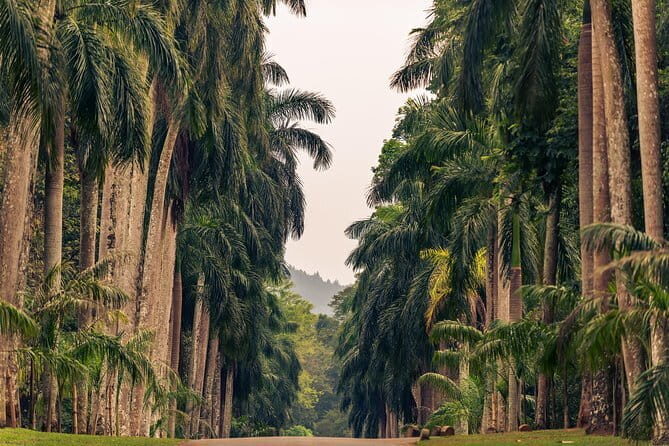 Sigiriya and Dambulla Private Full-Day Guided Tour - Final Thoughts