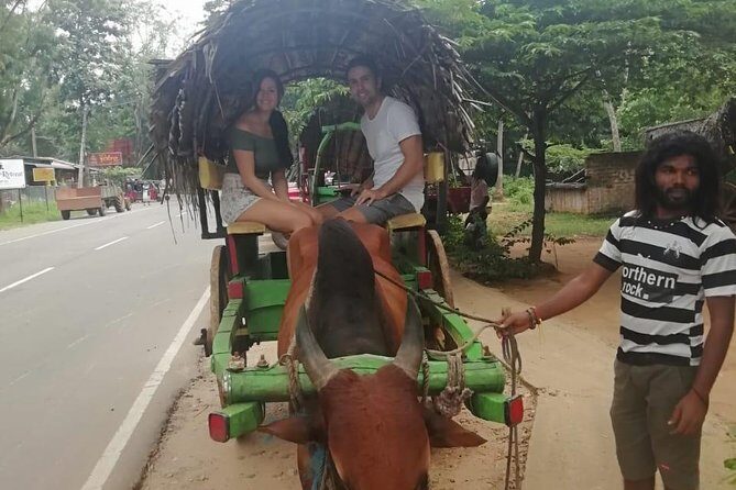 Sigiriya city tour from Negombo & Colombo with traditional Lunch. - Final Thoughts