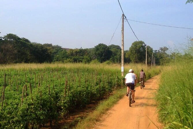 Sigiriya Cycle Safari Tour From Sigiriya - Key Points