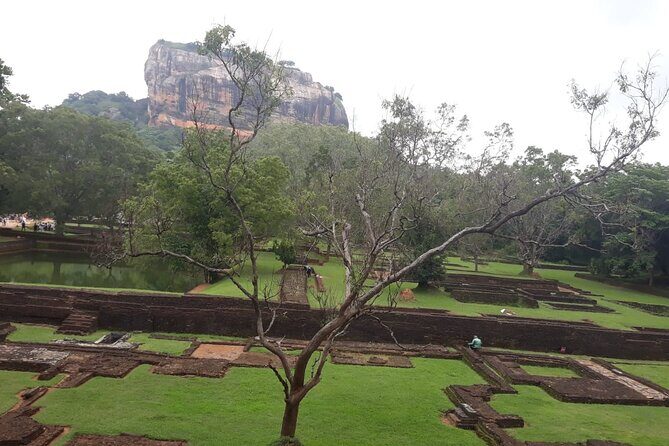 Sigiriya, Dambulla and Minneriya National Park Private Tour In - Authentic Experiences & Unique Insights