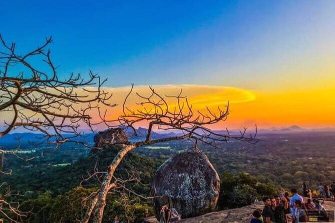 Sigiriya & Dambulla Cave Temple Day Trip from Colombo - Who Should Consider This Tour?