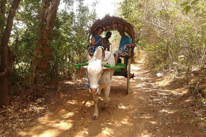Sigiriya Day Tour - Dambulla Cave Temple - FAQ