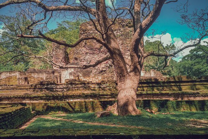 Sigiriya, Polonnaruwa & Dambulla "Trilogy" Day Tour from Colombo - Duration and Timing: Is It Worth the Long Day?