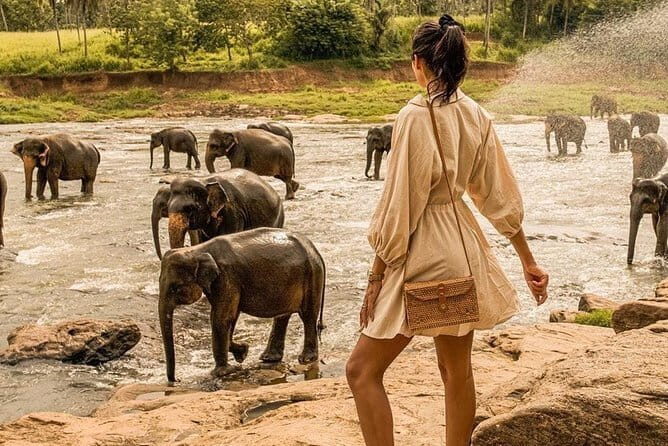 Sigiriya Rock and Dambulla Cave Temple (Private Day Trip) - FAQ