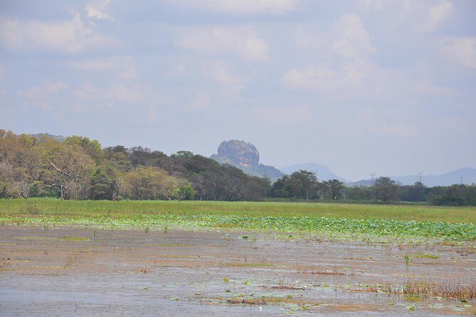 Sigiriya Village Tour from Negombo - A Full Breakdown of the Sigiriya Village Tour Experience