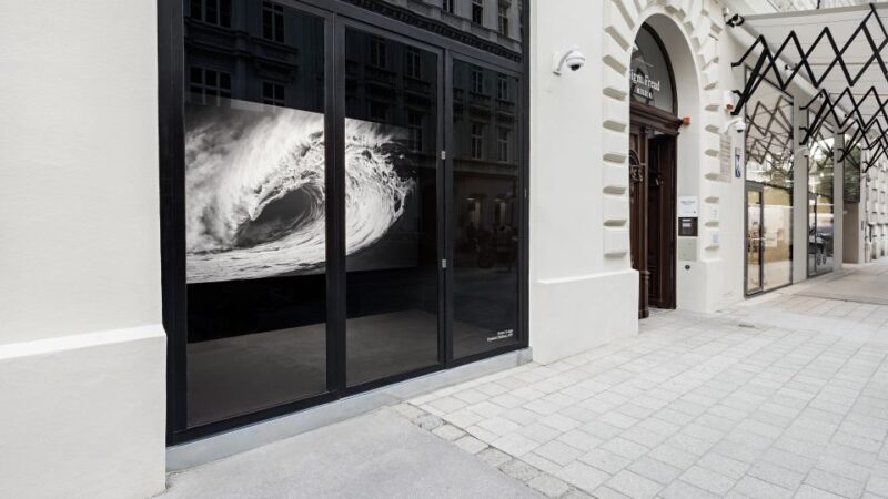 Sigmund Freud Museum Ticket - Exploring the Sigmund Freud Museum in Vienna: A Deep Dive into the Birthplace of Psychoanalysis