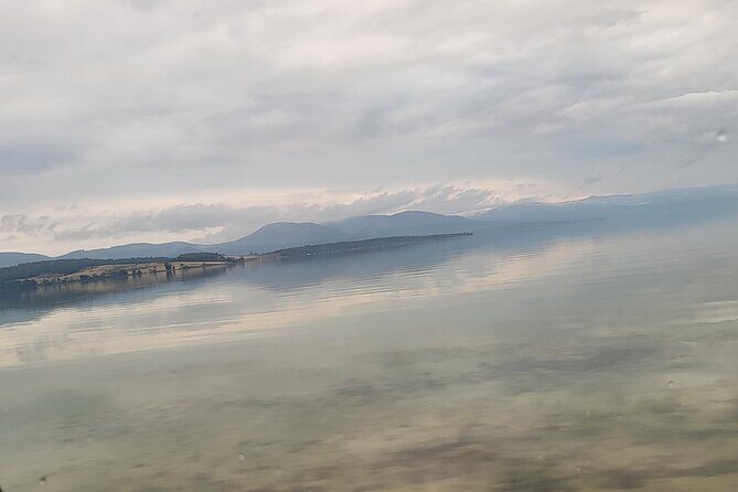 Signature Bruny Island Tour - Hobart & SE Tasmania - What Makes This Tour Stand Out?