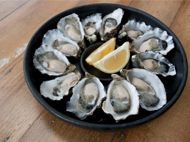 Signature Bruny Island Tour - Hobart & SE Tasmania - Authenticity, Value, and Overall Experience