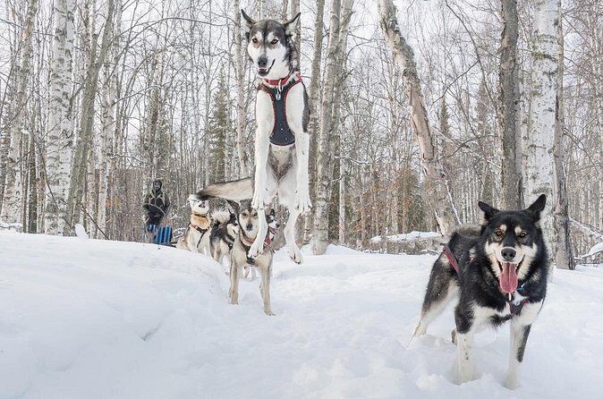 Signature Ridge Top Mush - FAQ