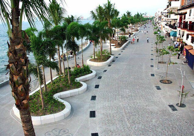 Signature Taco Tour in PV with Vallarta Eats - Key Points