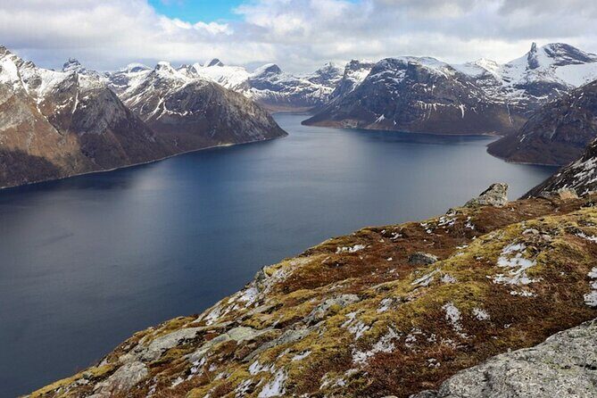 Silent Coastal Cruise to Kjerringøy - An In-Depth Look at the Silent Coastal Cruise Experience