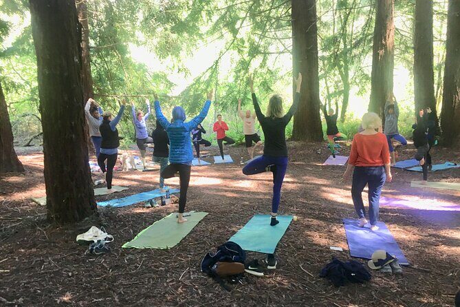 Silent Disco Style Yoga Class in Lake Merritt Pergola - FAQ