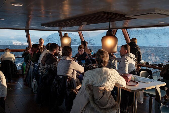 Silent Whale Watching - Final Thoughts: Is This Tour Worth It?