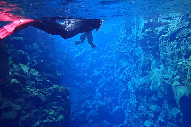 Silfra Fissure Snorkeling From Reykjavík - Free Underwater Photos - Return to Reykjavík: Wrapping Up
