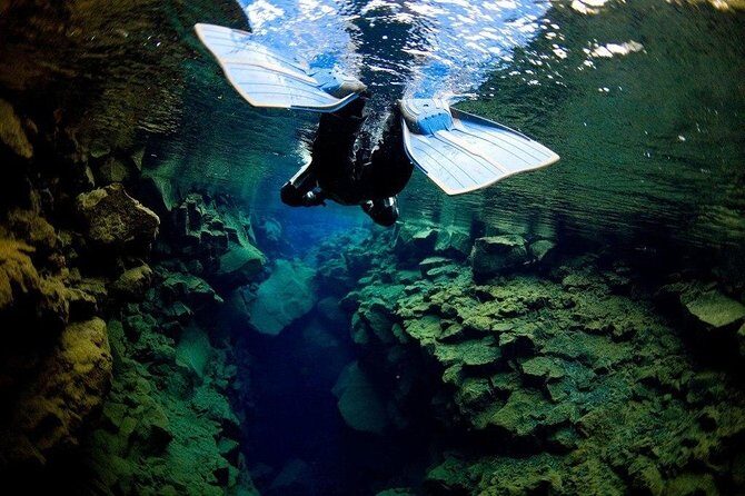 Silfra Fissure Snorkeling From Reykjavík - Free Underwater Photos - Who Will Love This?