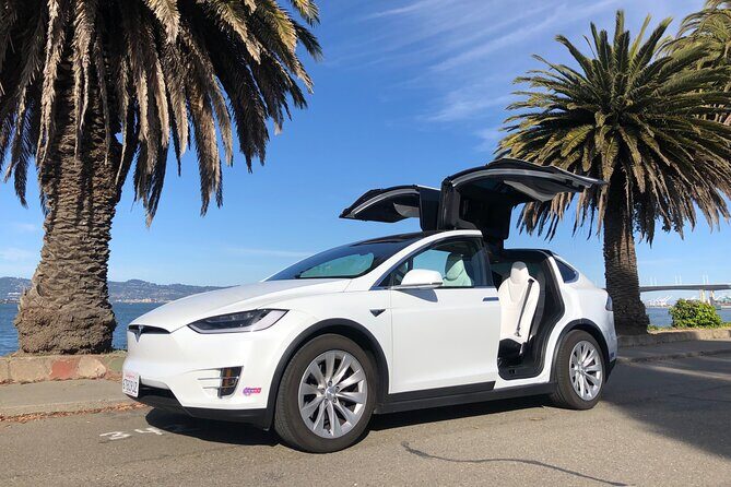 Silicon Valley Private Tour by Luxury Tesla from San Francisco - What to Expect from the Silicon Valley Private Tour
