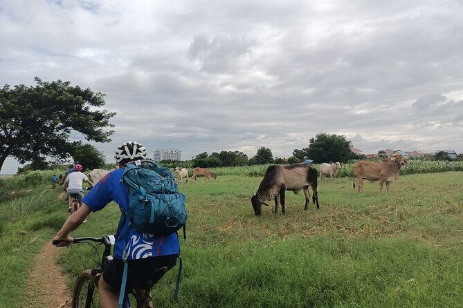 Silk Island at Twilight Cycle Encounter - What Makes This Tour Stand Out?