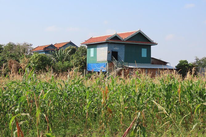 Silk Island & countryside of Phnom Penh by Tuk Tuk - The Itinerary in Detail