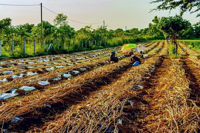 Silk Island Private Half-Day Tour from Phnom Penh - The Sum Up