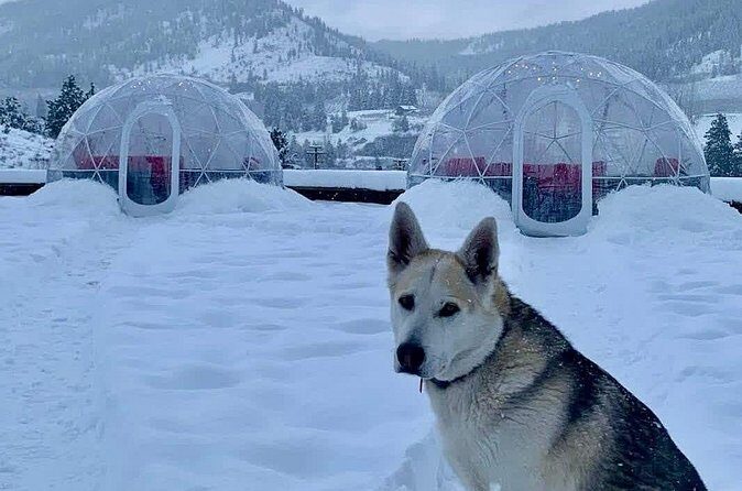 Silvaras Winter Igloo Wine Experience - FAQs