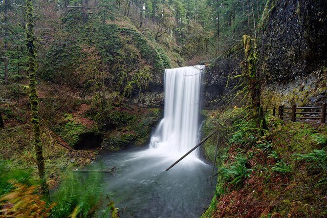 Silver Falls Private Hike Tour - Exploring the Itinerary in Detail