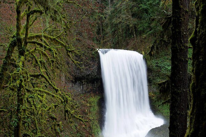 Silver Falls Private Hike Tour - Who Would Love This Tour?