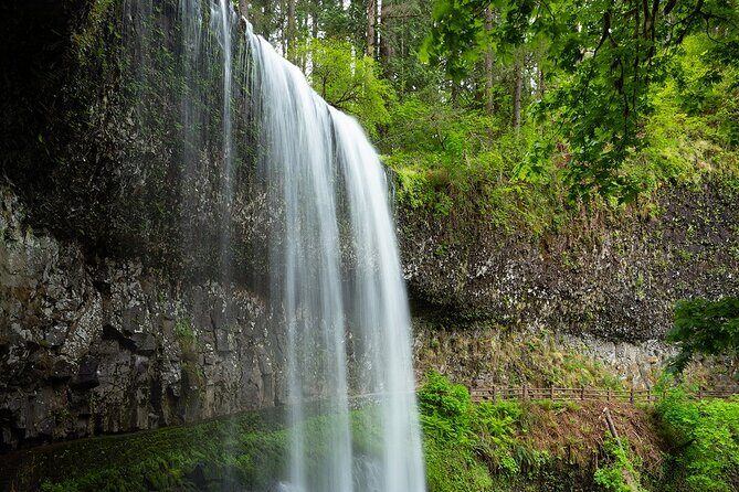 Silver Falls Private Hike Tour - The Sum Up