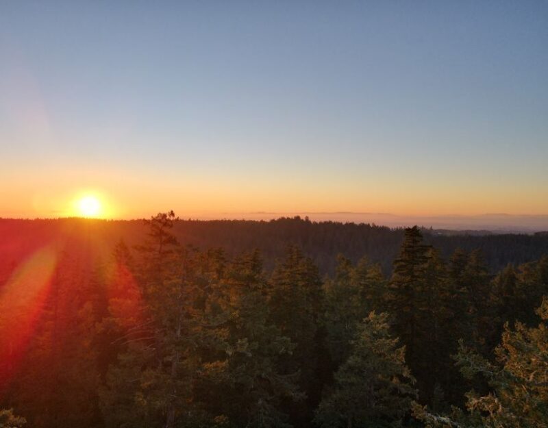 Silver Falls State Park: Tree Climbing Sunset Tour - An In-Depth Look at the Silver Falls Tree Climbing Sunset Tour
