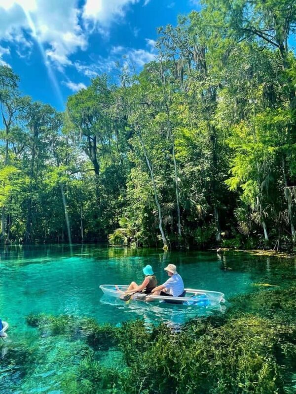 Silver Springs: Clear Kayak Eco-Tour with Manatee Viewing - An In-Depth Look at the Silver Springs Kayak Eco-Tour