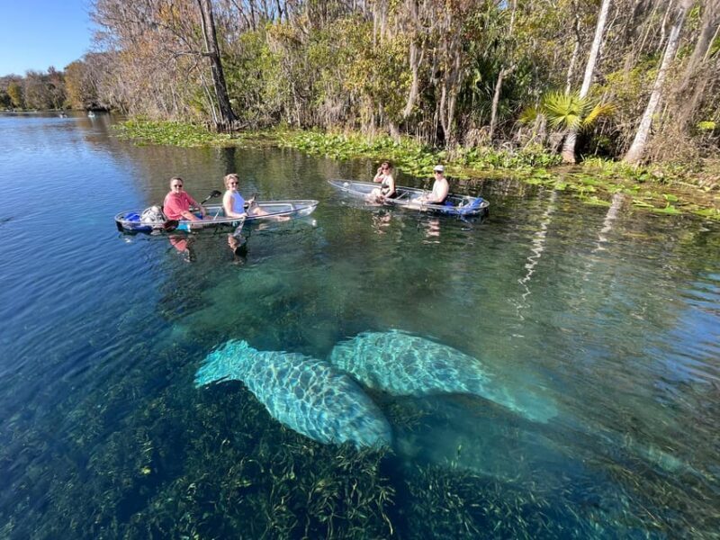 Silver Springs: Clear Kayak Wildlife Tour - Key Points