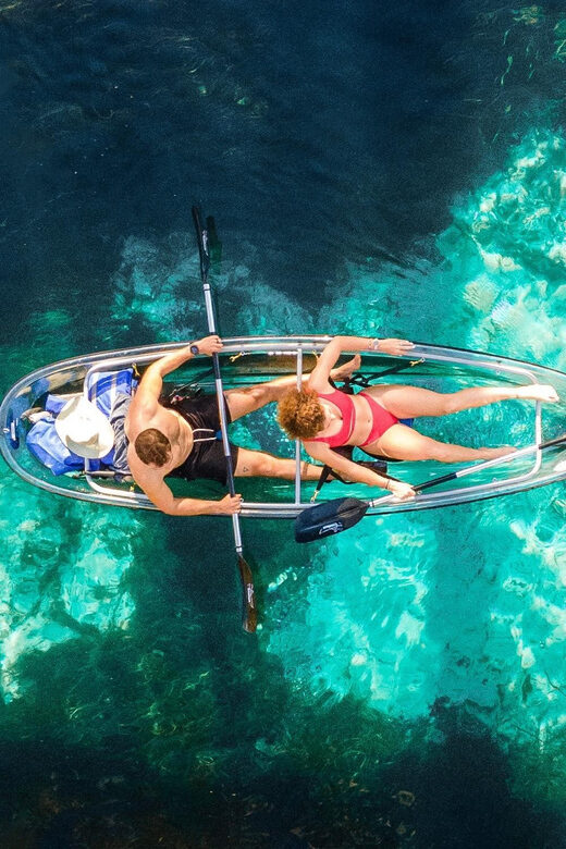 Silver Springs: Clear Kayak Wildlife Tour - Wildlife and Nature Encounters