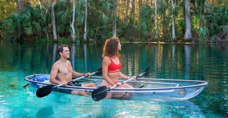 Silver Springs: Clear Kayak Wildlife Tour - The Sum Up