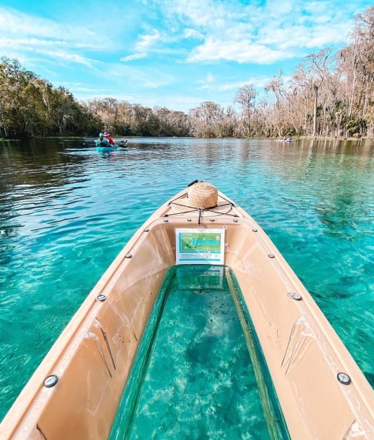 Silver Springs: Glass Bottom Kayak and Wildlife Tour - Introduction: A Calm and Captivating Way to See Florida’s Springs