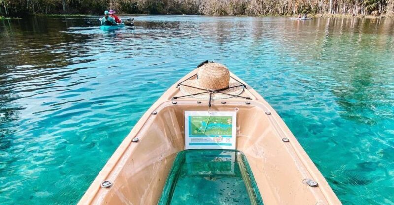 Silver Springs: Glass Bottom Kayak and Wildlife Tour - What the Reviews Say