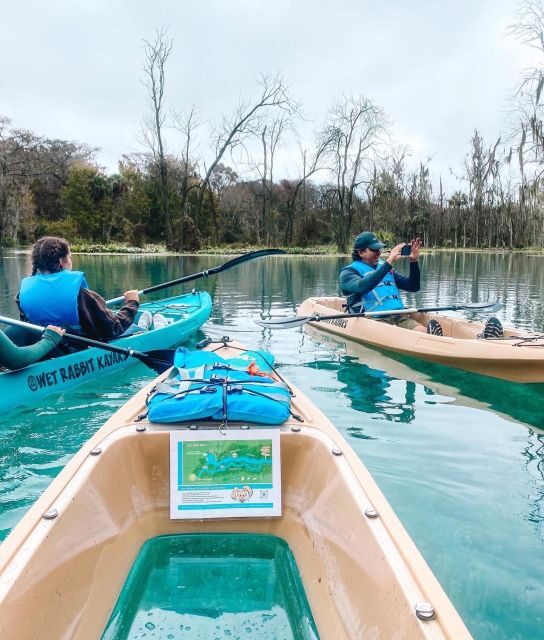 Silver Springs: Glass Bottom Kayak and Wildlife Tour - Discover Silver Springs: Glass Bottom Kayak and Wildlife Tour