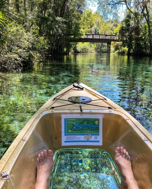Silver Springs: Glass Bottom Kayak and Wildlife Tour - Final Thoughts