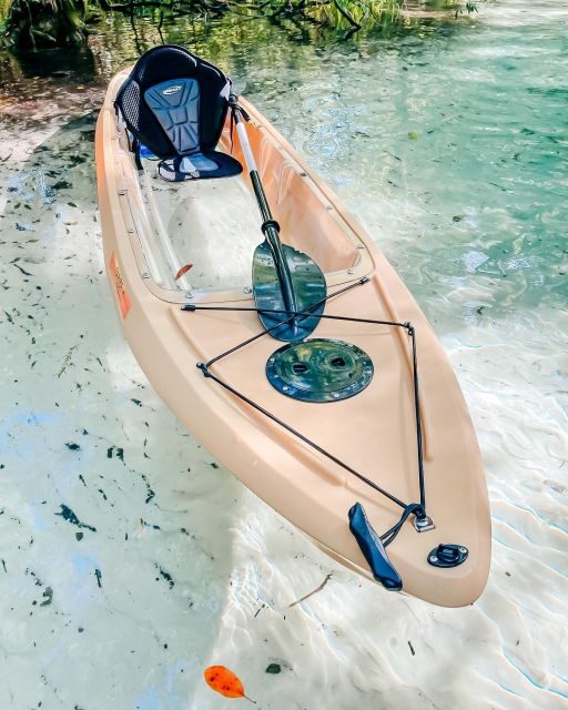 Silver Springs: Glass Bottom Kayak and Wildlife Tour - References
