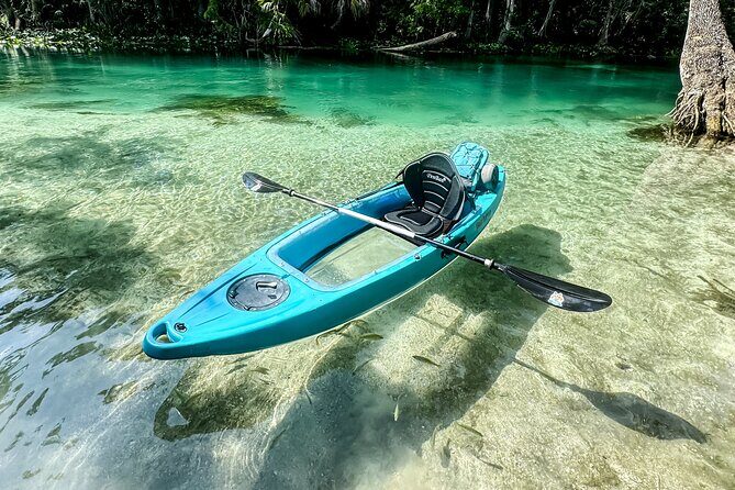 Silver Springs - Glass Bottom Kayak Rental - An In-Depth Look at Silver Springs Glass Bottom Kayak Experience