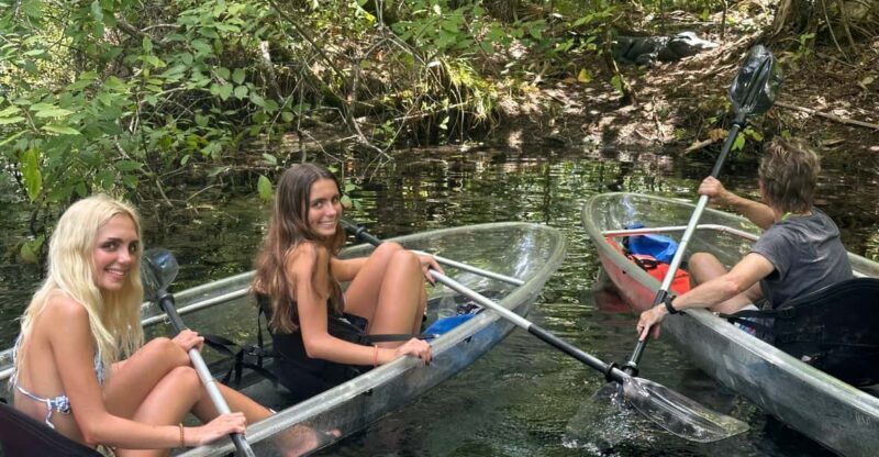Silver Springs: Guided Clear Kayak or Paddleboard Gator Tour - An In-Depth Look at the Silver Springs Gator Tour