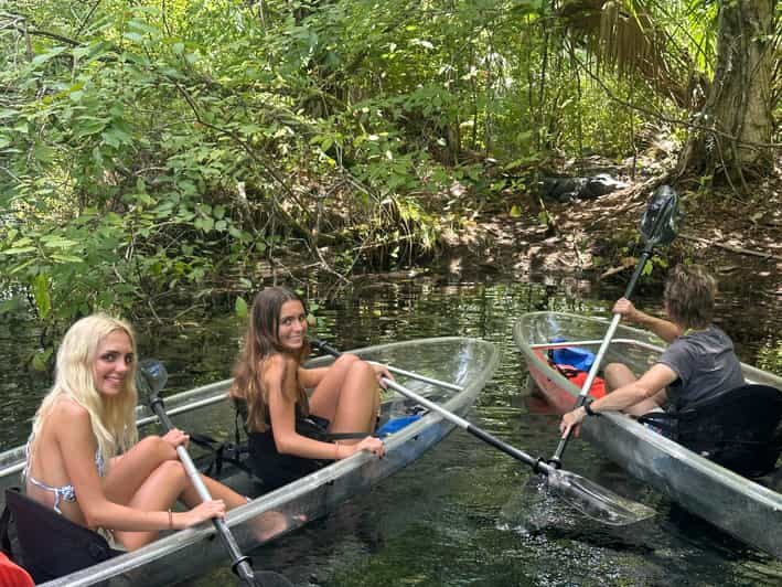 Silver Springs: Guided Clear Kayak or Paddleboard Gator Tour - The Sum Up
