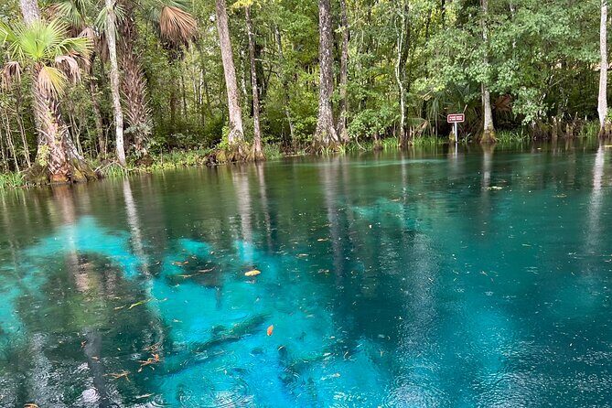 Silver Springs Guided Kayak Tour with Orlando Pick Up - Who Might Want to Consider Other Options