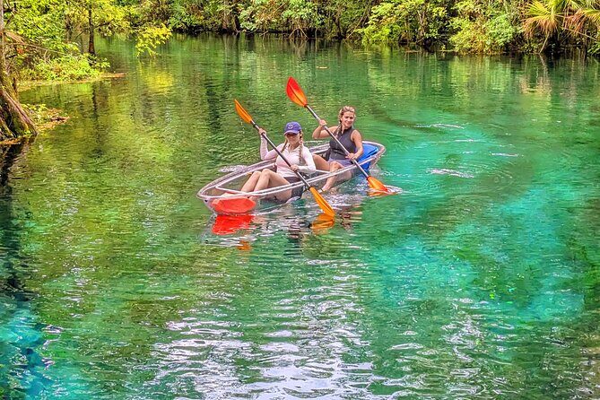 Silver Springs Jungle Kayaking and Paddleboarding - Exploring the Experience in Detail