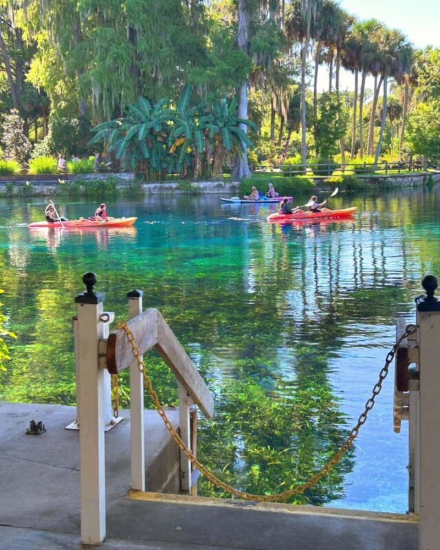 Silver Springs: Jungle Kayaking & Paddleboarding Adventure - Key Points