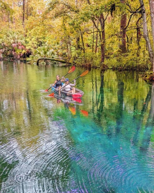 Silver Springs: Jungle Kayaking & Paddleboarding Adventure - Discovering Silver Springs: A Natural Wonderland