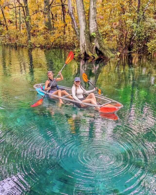 Silver Springs: Jungle Kayaking & Paddleboarding Adventure - The Scenic Route and Wildlife Encounters